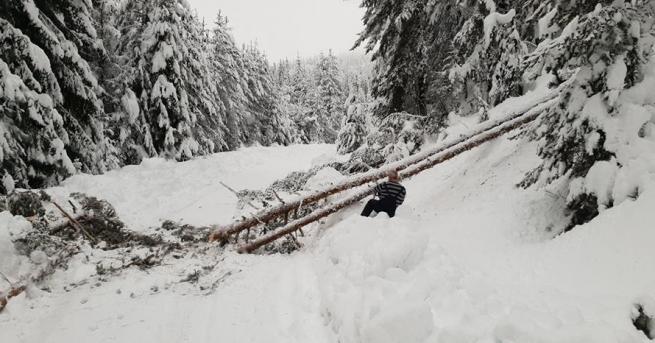 Утежнена обстановка на много места в страната заради снеговалежите Утежнена