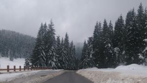 СМОЛЯН РОЖЕН ПРОХОД