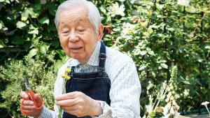 Над 10 на сто от японците са над 80 години