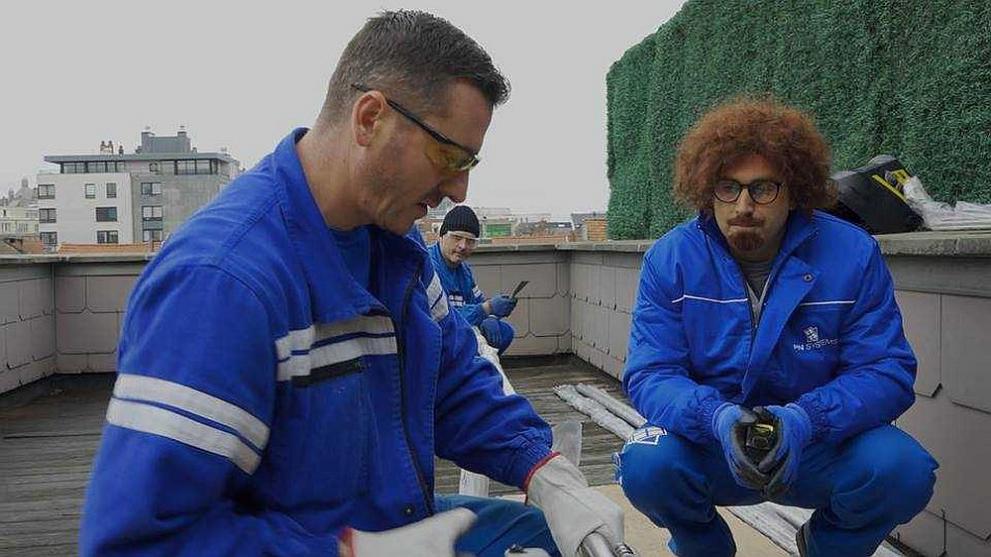  Шеф под прикритие 