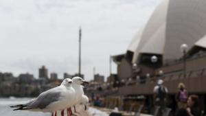 Австралия жега