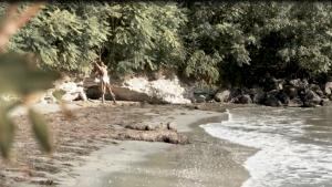 Поморие скритата перла