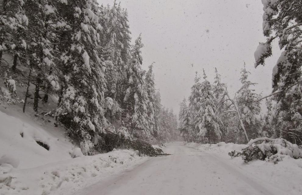 Трудности при отстраняване на авариите в Смолянско