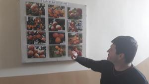 селскостопанска академия