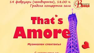 концерт Враца