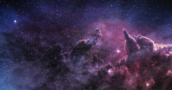 Екип под ръководството на биолога Лукас Пати от Свободния университет