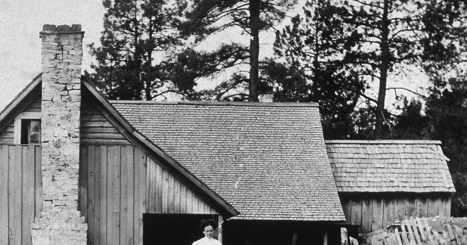 Бебешката количка каквато я познаваме днес е усъвършенствана в продължение