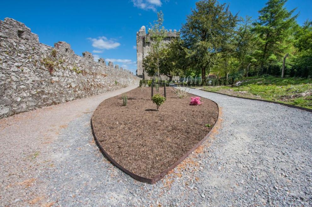  Камъкът от Бларни 