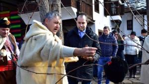 Враца Трифон Зарезан