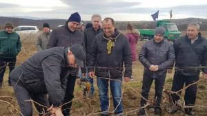 Трифон Зарезан Поморие