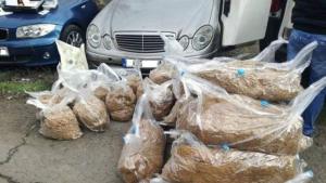 Бургас тютюн