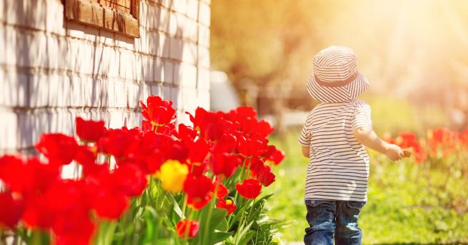 На 5 март атмосферното налягане ще е по ниско от средното