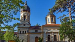 Цариброд Димитровград Сърбия