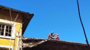 бедстващи кучета Виноградец