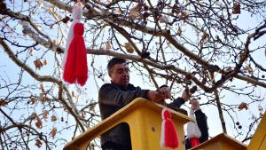 мартеници Враца