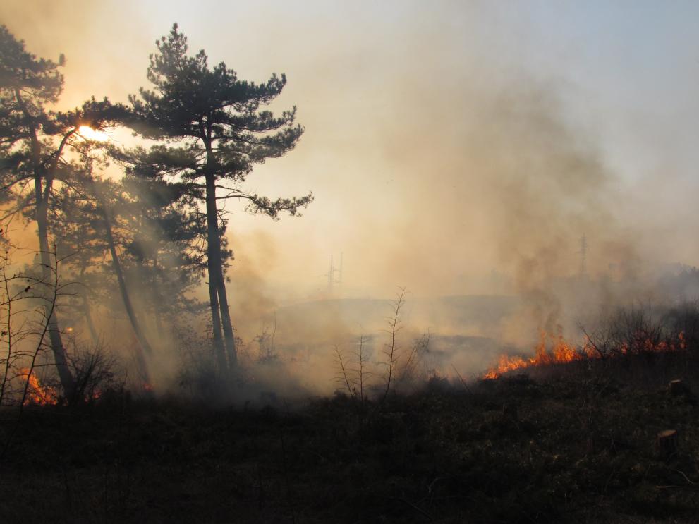 Пожар между кв. Марийно и Изток в Димитровград