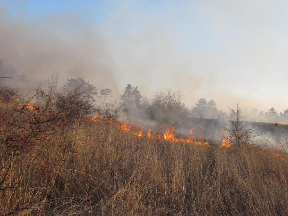Пожар между кв. Марийно и Изток в Димитровград