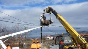 щъркелово гнездо