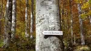 Свети Йоан Рилски