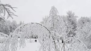 сняг времето