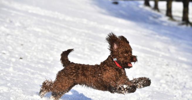 През нощта срещу понеделник над по голямата част от страната ще