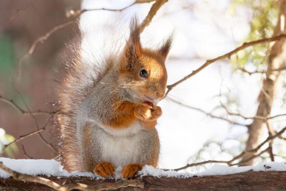  катеричка времето зима 