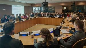 младежи ООН