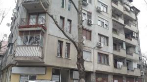 Варна убийство