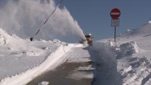 връх Шипка движение