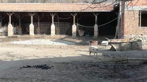 Село Вуково