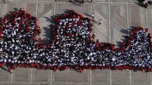 мартеница Видин