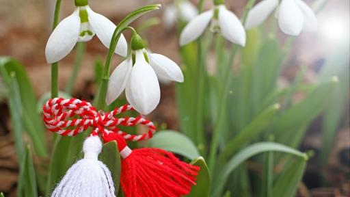 Честита Баба Марта! Червено-белият танц на пролетта, който ни пази от зло