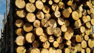 За измама с продажба на дърва за огрев съобщи