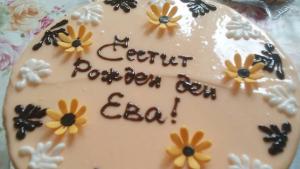 Добрич Ева катастрофа