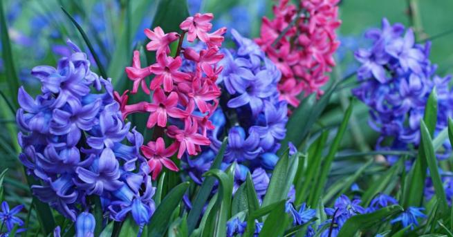 Атмосферното налягане ще се понижи и ще е по ниско от