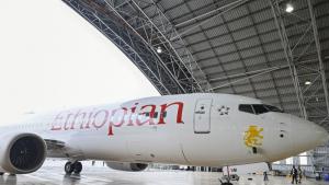 самолет Боинг 737