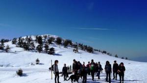 пирински стражари