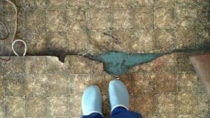 Враца болница