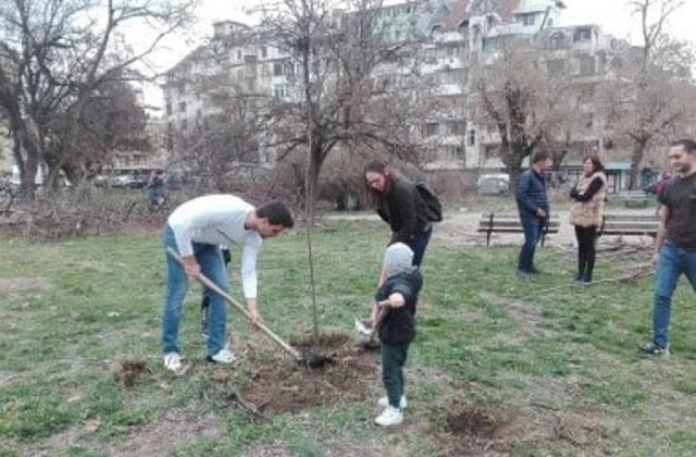 40 нови дървета засадиха пловдивчани на мястото на изсечените в парка в "Северен" (СНИМКИ)