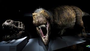 тиранозаври тиранозавър