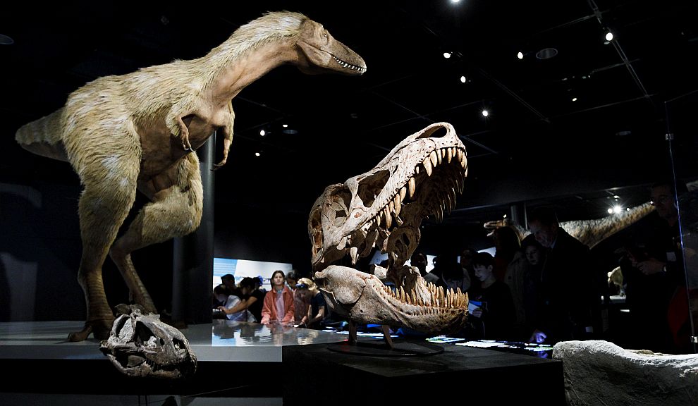  Изложба в Ню Йорк демонстрира най-новите научни открития за тиранозаврите 