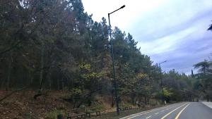 камери Аязмо