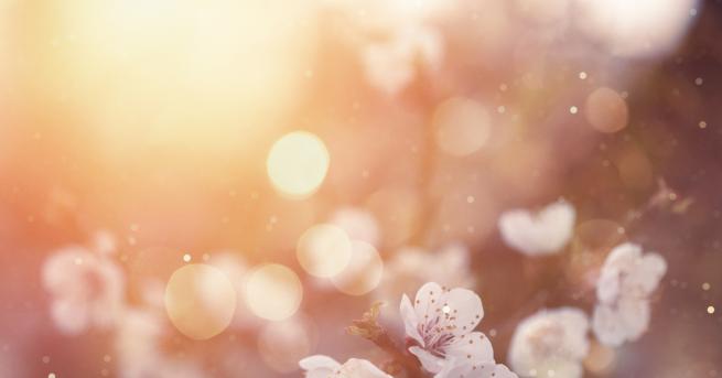 Най ниските температури през април у нас ще са между минус