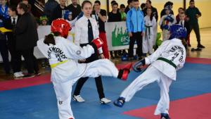 турнир Враца