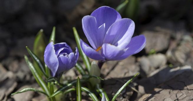 Днес ще бъде слънчево с временни увеличения на облачността в