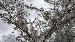 почистване