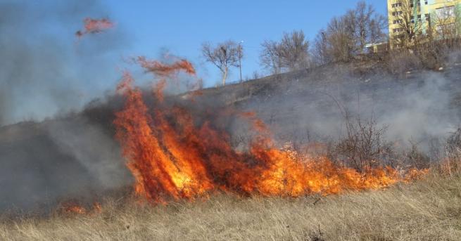 Пожарът който избухна в планинската местност надКлисура е овладян съобщи
