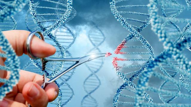 Китайски учени разработиха „електронна кожа“