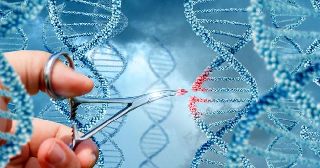 Експертна група свикана от Световнатаздравна организация СЗО излезе със становището