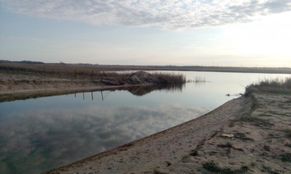 Регионалната инспекция по околната среда и водите-Варна е уведомила Районната